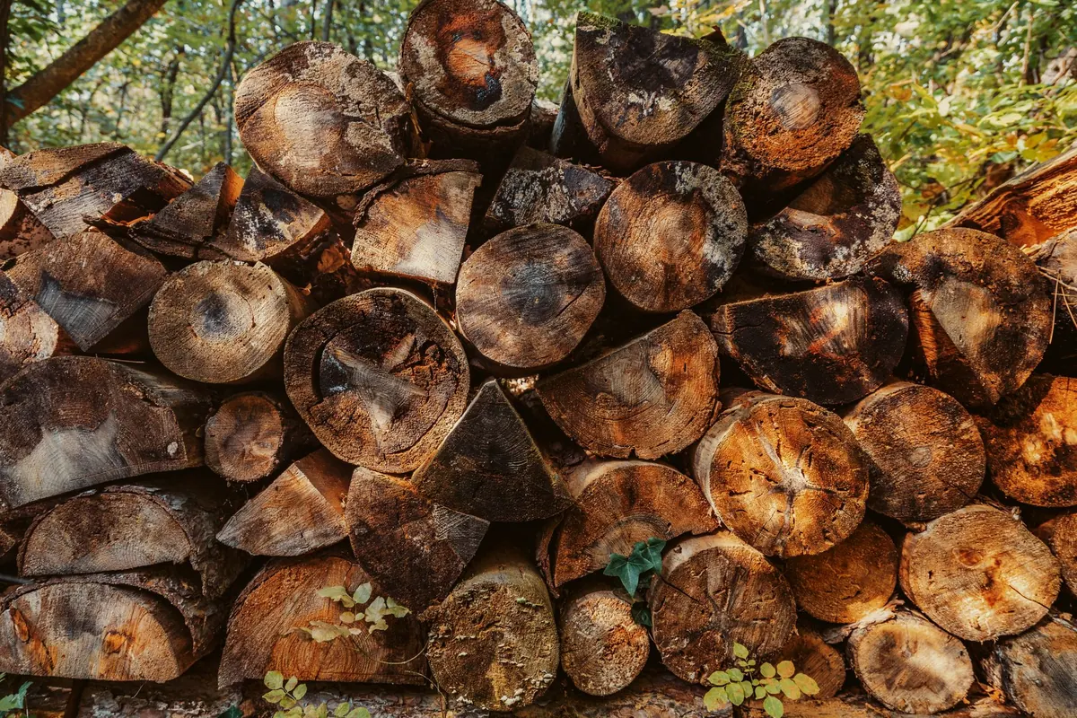 A Beginner's Guide to Buying and Storing Firewood in the UK
