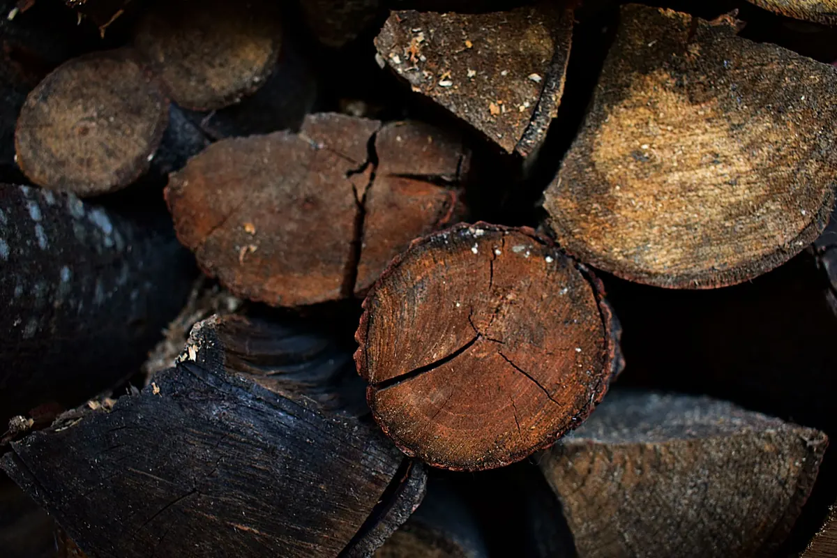 Checklist: Autumn Hearth Preparation Before the First Cold Snap